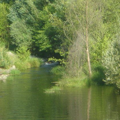 Paisagem junto à ribeira